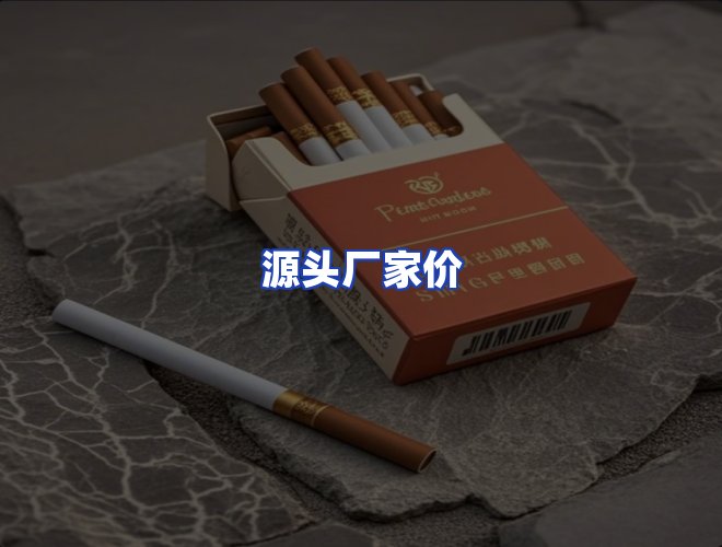 专业团队